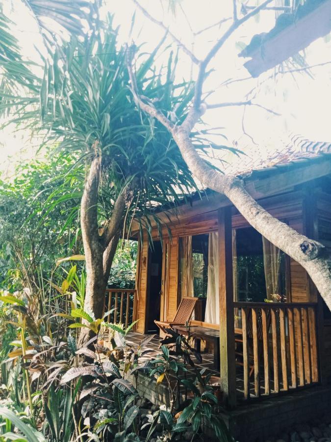 Jembrana Bali Homestay Negara  Bagian luar foto