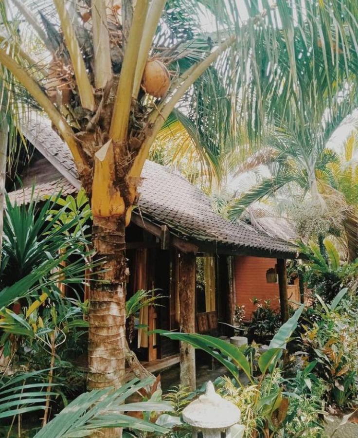 Jembrana Bali Homestay Negara  Bagian luar foto
