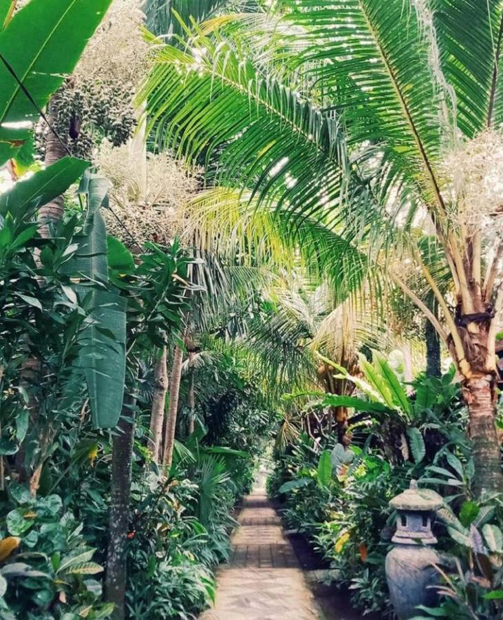 Jembrana Bali Homestay Negara  Bagian luar foto