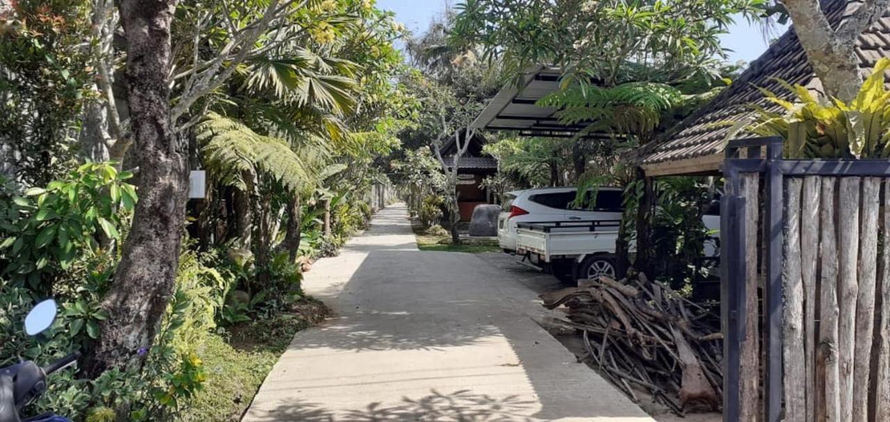 Jembrana Bali Homestay Negara  Bagian luar foto