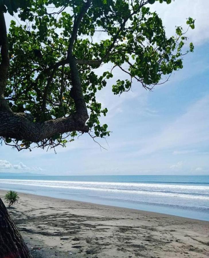Jembrana Bali Homestay Negara  Bagian luar foto