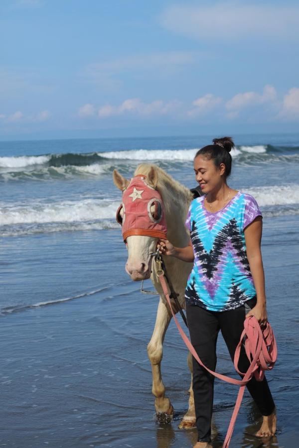 Jembrana Bali Homestay Negara  Bagian luar foto